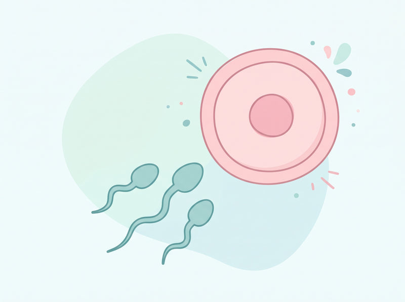 Fertiliteit