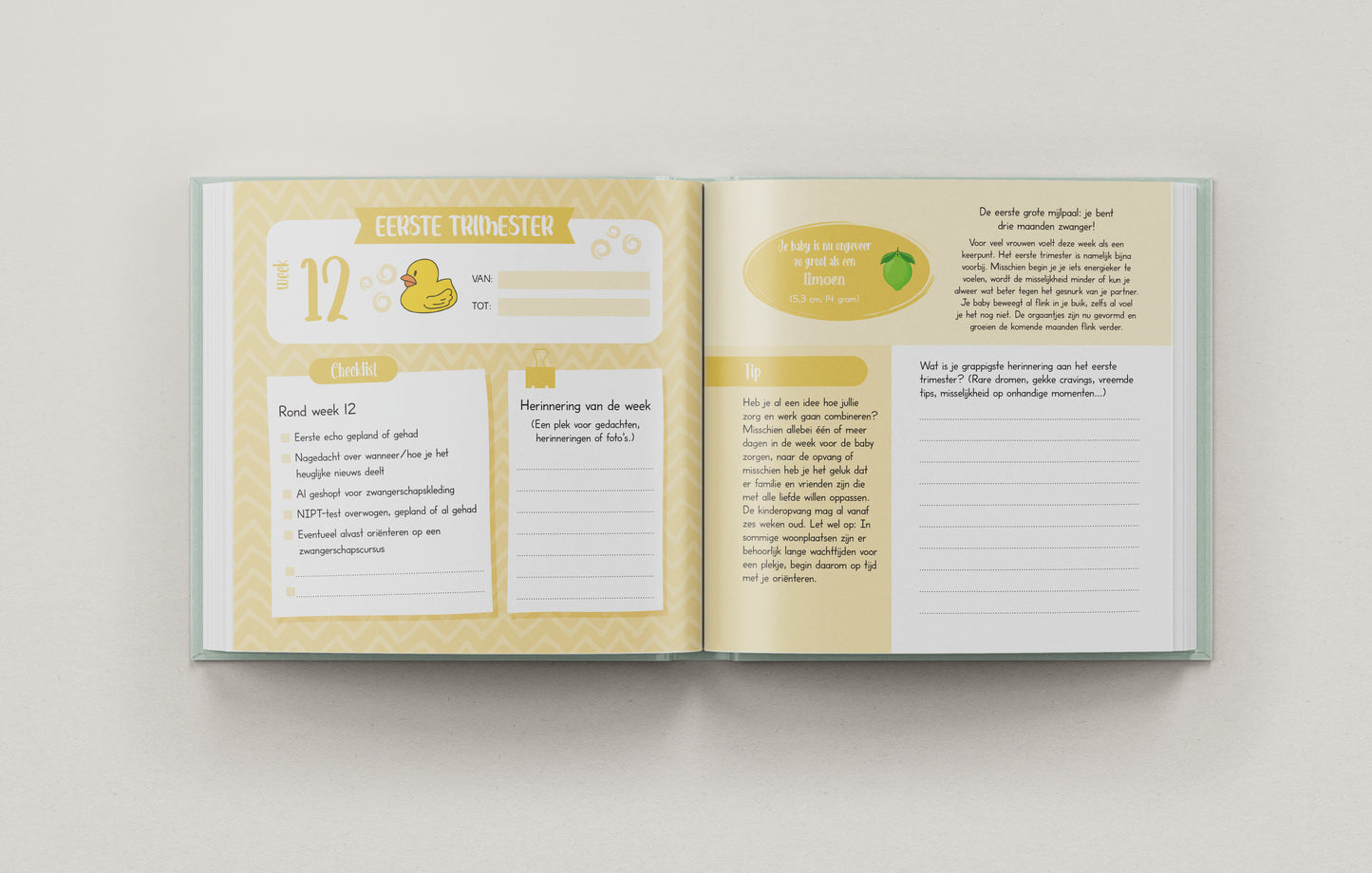 9 Maanden Zwangerschapsdagboek – Een Buik Vol Verhalen