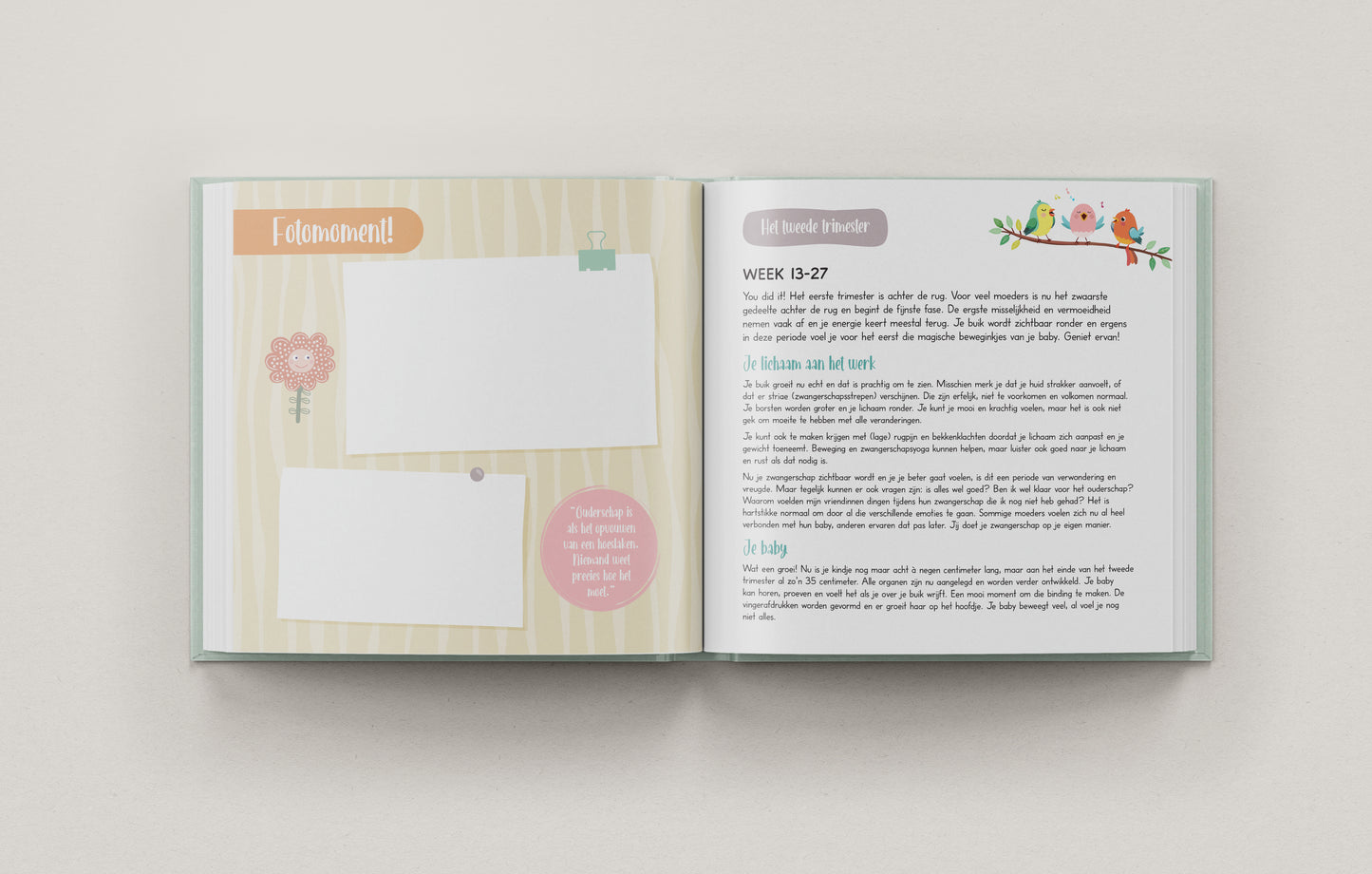 9 Maanden Zwangerschapsdagboek – Een Buik Vol Verhalen