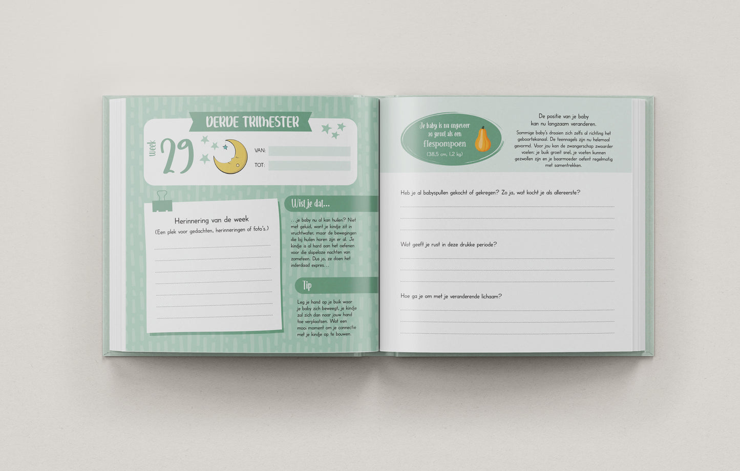 9 Maanden Zwangerschapsdagboek – Een Buik Vol Verhalen