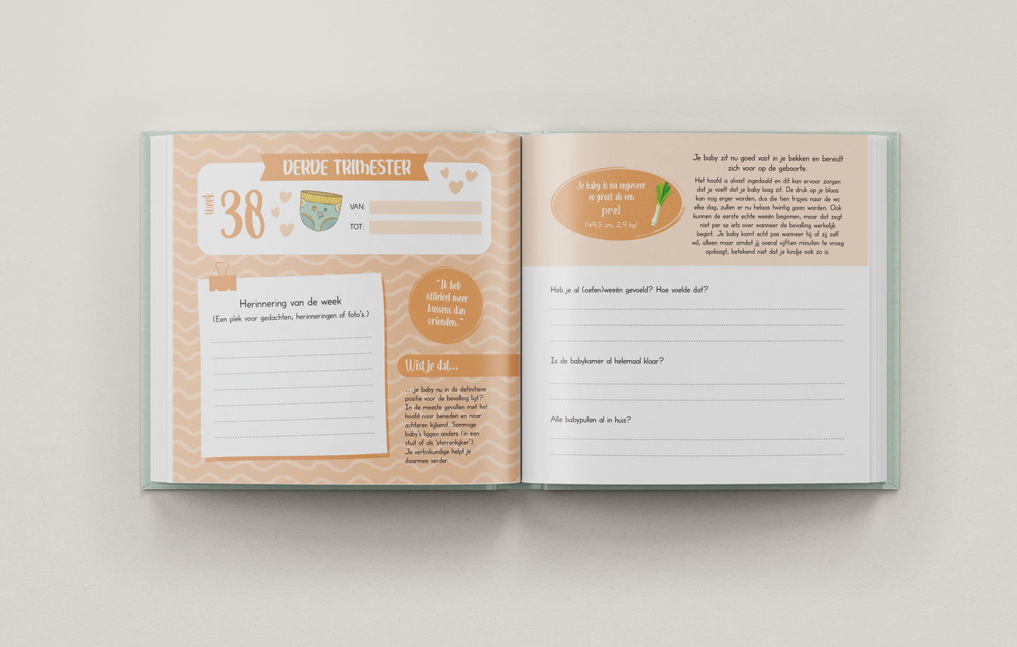 9 Maanden Zwangerschapsdagboek – Een Buik Vol Verhalen