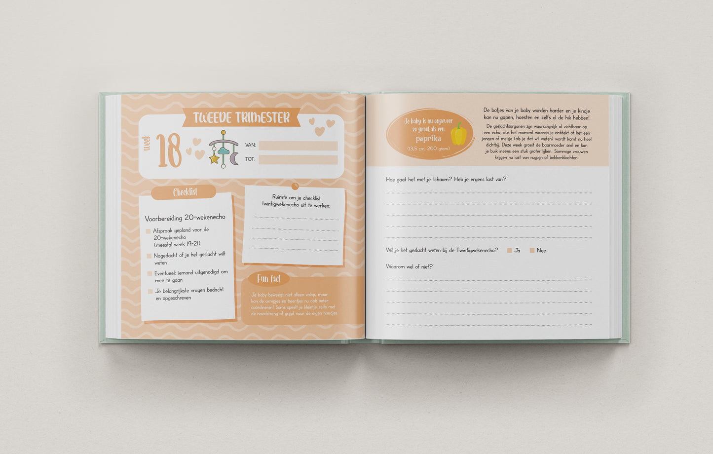 9 Maanden Zwangerschapsdagboek – Een Buik Vol Verhalen