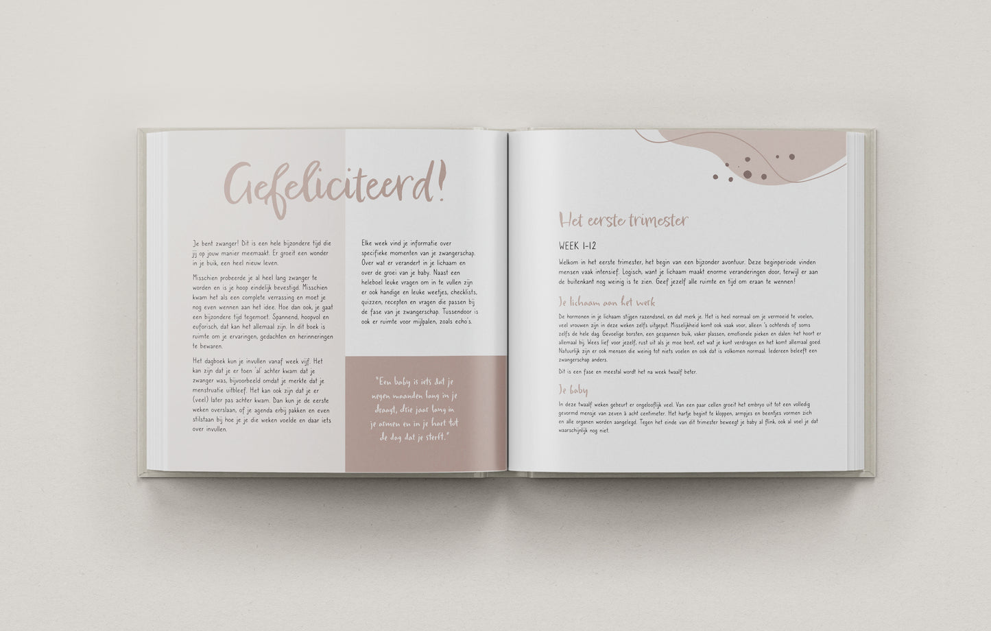 9 Maanden Zwangerschapsdagboek – Een Buik Vol Verhalen