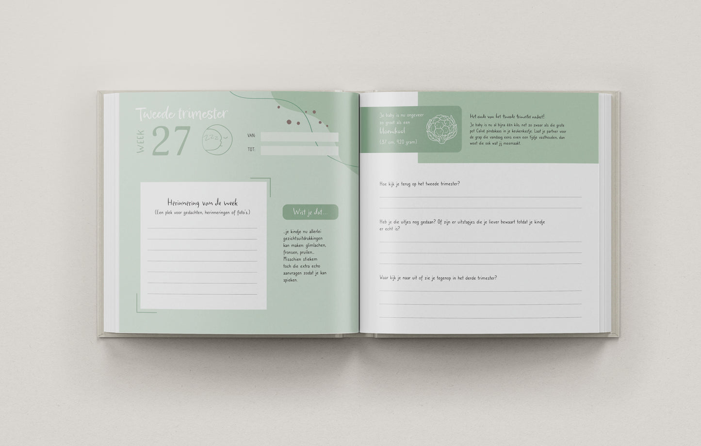 9 Maanden Zwangerschapsdagboek – Een Buik Vol Verhalen