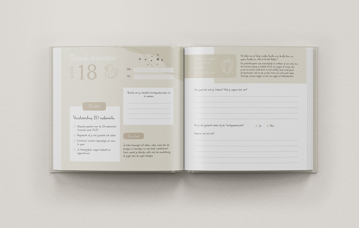 9 Maanden Zwangerschapsdagboek – Een Buik Vol Verhalen