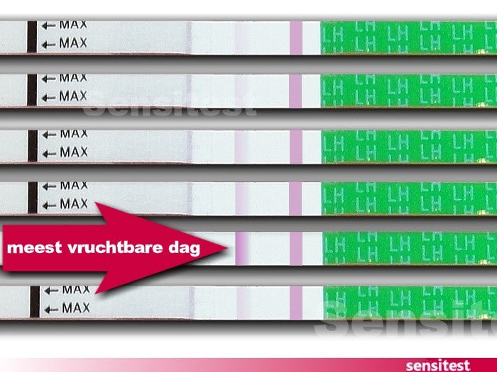 Voordeelpakket Luxe 24 ovulatietest dipstick en 3 zwangerschapstest midstream