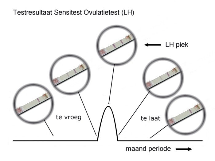Sensitest Starterspakket