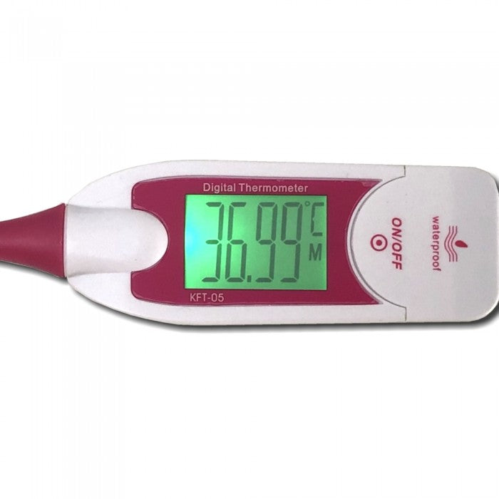 Digitale Thermometer