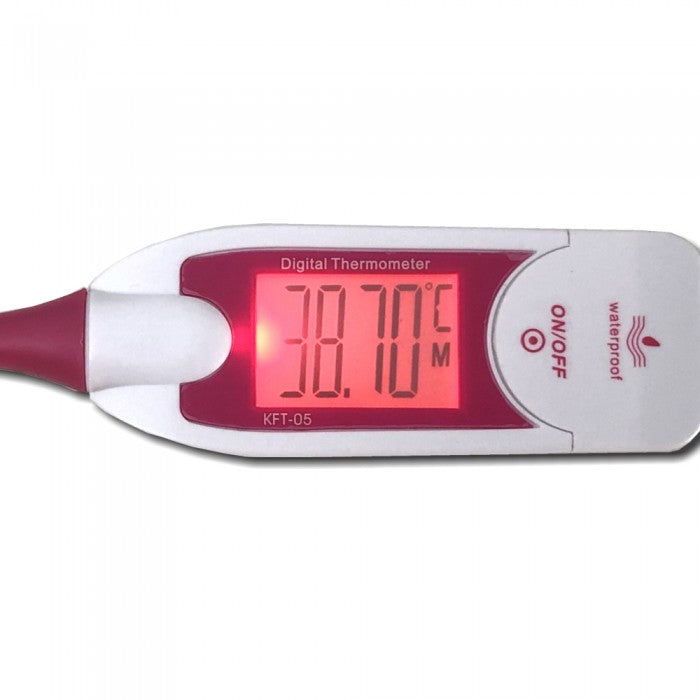 Digitale Thermometer