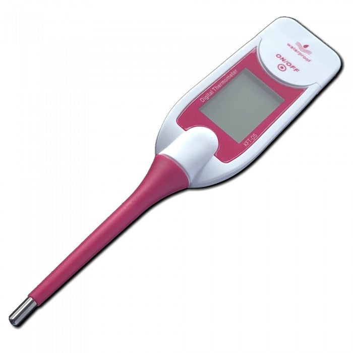 Digitale Thermometer