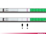 Ovulatietest met negatieve testuitslag: je hebt nog niet veel kans op zwangerschap.