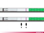 Ovulatietest met 1 streepje, je hebt nog niet veel kans op een zwangerschap.