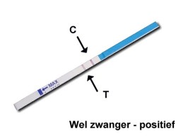 De zwangerschapstest met twee streepjes: je bent zwanger.