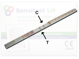 Ovulatietest met 2 streepjes: je hebt nu de grootste kans om zwanger te worden.