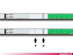 Ovulatietest met negatieve testuitslag: je hebt nog niet veel kans op zwangerschap.