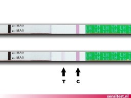 Ovulatietest met 1 streepje, je hebt nog niet veel kans op een zwangerschap.