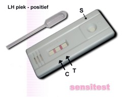 Ovulatietest cassette is positief: je hebt nu de grootste kans op zwangerschap.