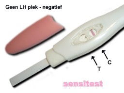 Ovulatietest met 1 streepje, er is geen LH waargenomen in je urine. Er is een kleine kans op zwangerschap.