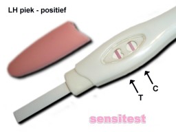 Ovulatietest met LH piek: je hebt nu de grootste kans om zwanger te worden.