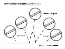 Testresultaten van de ovulatietest tijdens je cyclus.